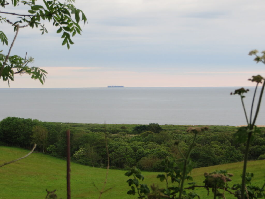 Cargo ship at sea (file photo)