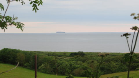 Cargo ship at sea (file photo)