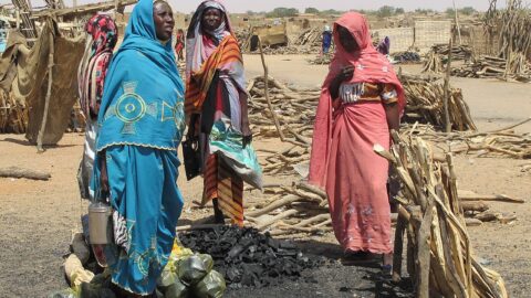 Women in El Fasher, Darfur, the Sudanese city besieged and later captured by the RSF