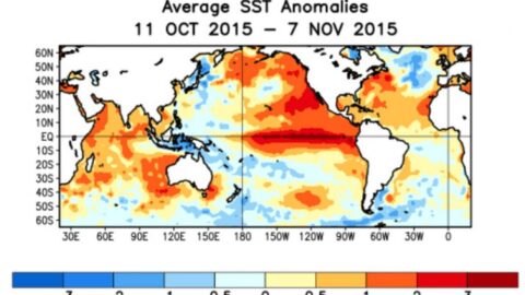 NOAA map of sea surface temperature anomalies across the Pacific during the 2015 super El Niño, showing widespread warmer-than-average water.