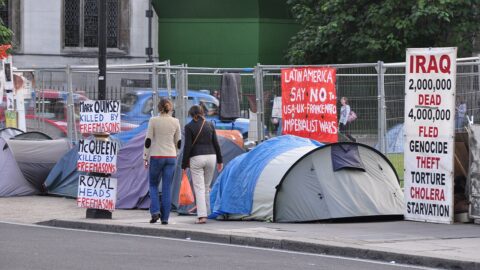 Protesters with signs at Westminster, London (file photo)