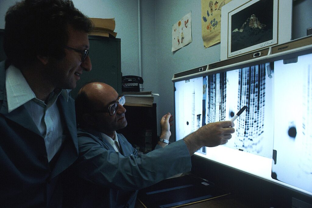 DNA sequencing work in a laboratory.