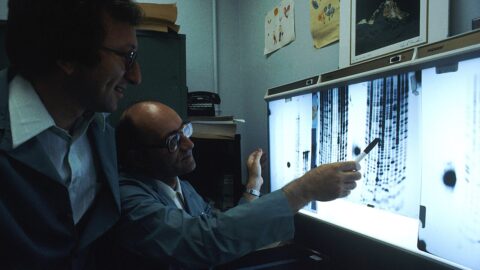 DNA sequencing work in a laboratory.