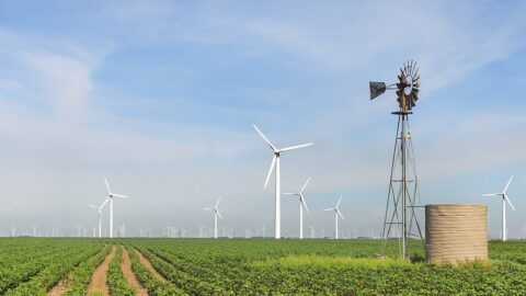 Wind turbines at a large wind farm.