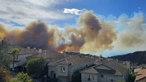 Wildfire flames and a towering smoke plume behind suburban homes in Southern California (file photo from the January 2025 Palisades Fire)